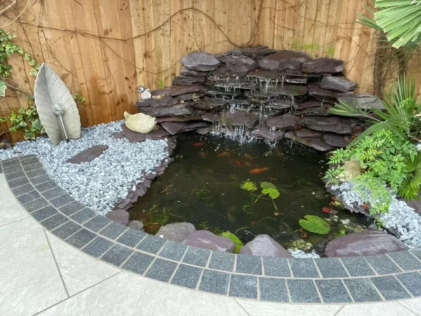 A small backyard pond with a cascading waterfall surrounded by shale stones and Blue/Black Granite Sawn Setts measuring 100mm x 100mm x 40mm. Decorative elements include a leaf-shaped sculpture, pebbles, and leafy plants. The pond features lily pads and glimpses of fish swimming, with a wooden fence in the background.
