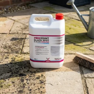A 5-liter ProJoint Black Spot & Algae Remover with a red cap and white label stands on a sunlit stone patio beside a broom and watering can, displaying cleaning instructions.